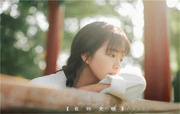 罗湖胎儿性别鉴定需要多少钱(胎儿性别鉴定的方法)